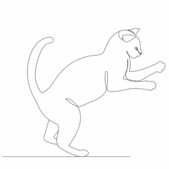 cat drawing one line isolated on white background