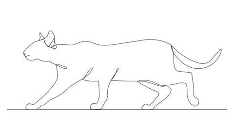 cat drawing one line isolated, vector on white background