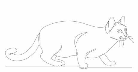 cat drawing one line isolated, vector