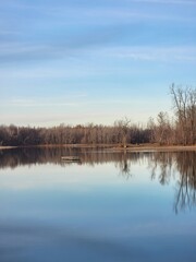 Fototapeta na wymiar Reflection of trees in the water 
