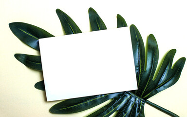 On a light background there is a palm green branch and a white sheet of paper with a place to insert text. Mockup