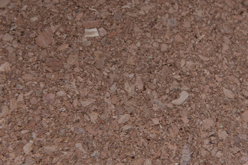 Texture de liège brun naturel