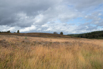 Obraz premium landscape with clouds and sky