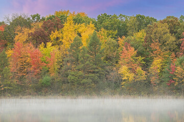 Foggy autumn landscape of the shoreline of McDonald Lake at dawn, Yankee Springs State Park, Michigan, USA