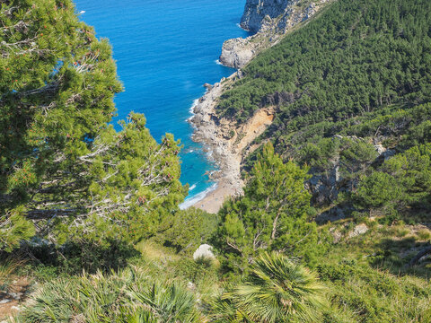Mallorca - K&uuml;stenwanderung auf der Halbinsel La Victoria