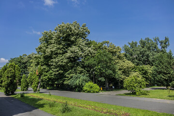 Picturesque King Michael I Park (Parcul 