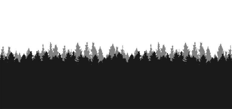 conifer forest silhouette isolated on white background, vector illustration