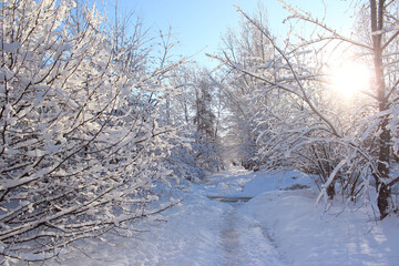 Fototapety na wymiar - Fototapeta24.pl
