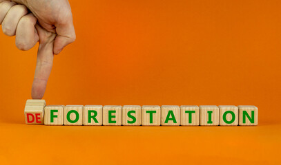 Forestation or deforestaion symbol. Ecologist turns wooden cubes and changes the word deforestation to forestation. Orange background, copy space. Ecological, forestation or deforestaion concept.