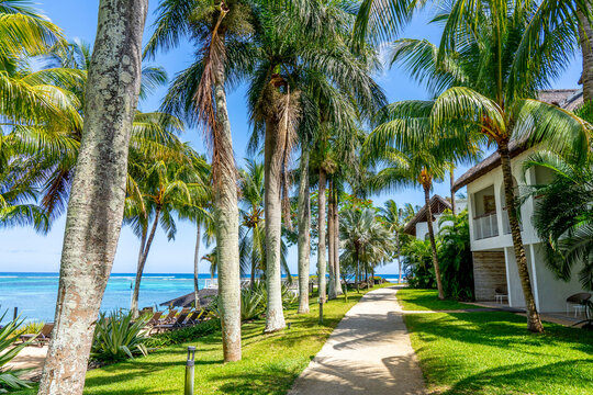Tropical resort hotel beach paradise. Summer vacation on the sea coast. Splendid panoramic view of beautiful beach. Luxury holiday in Mauritius island. Blue sky palm trees. High quality photo