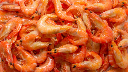Shrimps background texture. A lot of shrimps.