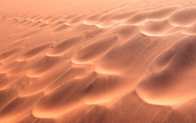 Fototapeta na wymiar Red sand dunes covered in footprints - Footprints in desert sand covered by wind - Dead Vlei - Sossusvlei, Namib desert, Namibia