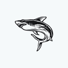 Shark drawing vector illustration. Shark hand draw.