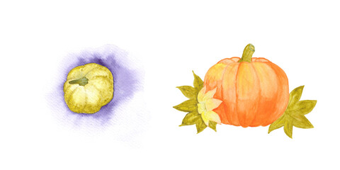 Two hand painted watercolor pumpkins.