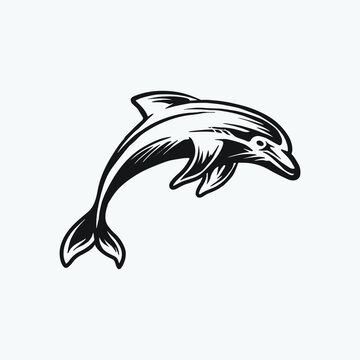 Dolphin drawing vector illustration.