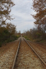 Fototapeta premium Vertical Photo of Railroad Tracks Disappearing into Horizon with Ties Covered in Brown and Orange Fallen Autumn Leaves