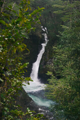 Fototapeta premium Waterfall in Bariloche, Argentina | Nature Travel Photography