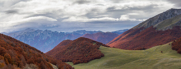 Mountain landscape. Autumn landscape on the top of the mountain, rocky surface and beech forest in the distance.