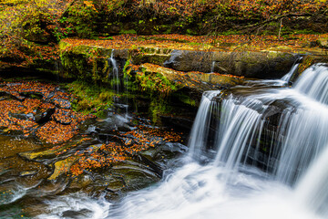 Fototapeta na wymiar Dunloup Creek Falls With Fall Color New River Gorge National Park, West Virginia, USA