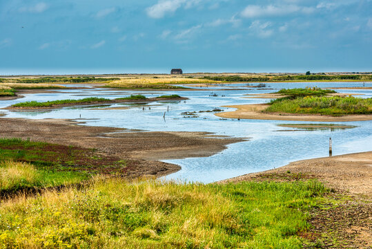 Rye Harbour Nature reserve in East Sussex, England. The old lifeboat house can bee seen in the distance