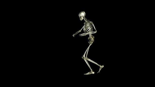 Skeleton dancing. Seamless loop animation on black background, salsa, Ghost character, Dancing Skull, video with luma matte, 3d render