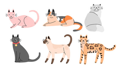 Set of cute cats of different breeds in flat cartoon style. Collection of characters of cats.