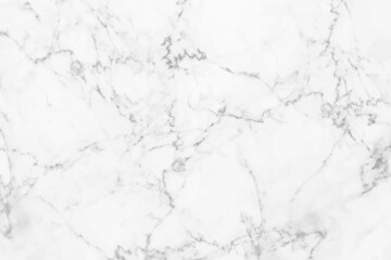 elegant white marble texture background,vector illustration