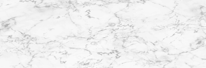 horizontal elegant white marble texture background,vector illustration