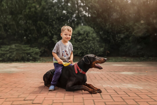 Small blonde boy sitting on doberman pincher outdoor in bakcyard