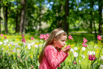 Naklejka na ściany i meble portrait of a very cute pretty girls blonde in a pink coat around the flower bed of tulips in the Park.Beautiful child smelling flowers on tulip fields. Child in tulip flower field