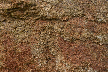 Textura rocha marrom
