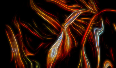 Abstract neon fibers lights - Digital art work.