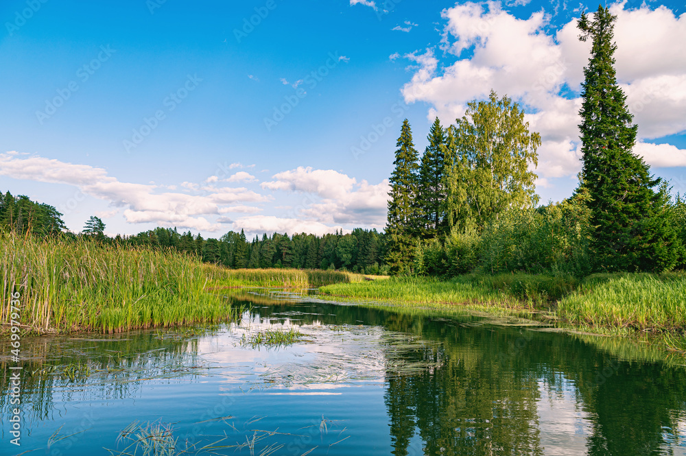 Wall mural The blue sky and forest are reflected in the river on a summer day. - Wall murals