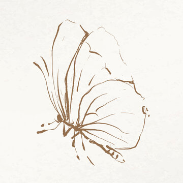 Butterfly doodle illustration vector, remixed from vintage public domain images