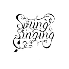 spring is singing, lettering, a spring script in black on a white background. isolated image, banner, art.