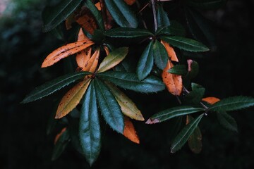 Processed with VSCO with k3 preset