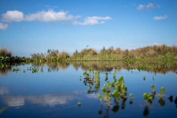 lake water amidst the vegetation on the top of the mountain