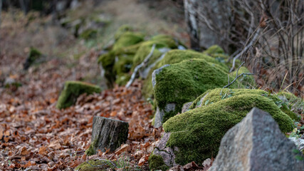 moss on the stone border around old Latvian country cemetery