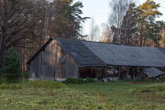 old barn near forest in Latvia in autumn