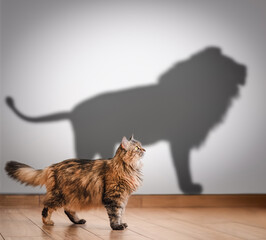 Concept of hidden potential, cat and lion shadow. - obrazy, fototapety, plakaty