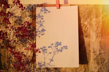Empty mockup letter, greeting card for birthday, anniversary, wishing list. Spring mock up. Trendy...
