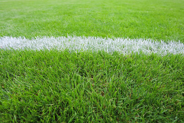 White stripe on green grass on the playing field