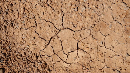 Fototapeta premium Soils dehydrated as a result of global warming. Drought problem.