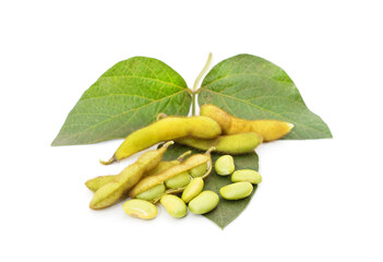 Green beans with leaves soybean.