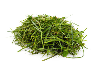 Bunch of green grass.