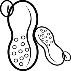 Cutout silhouette Inshell peanut icon. Outline logo. Black illustration for package design. 