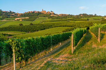 Fototapeta na wymiar The beautiful villageof Diano d'Alba and its vineyards in the Langhe region of Piedmont, Italy.