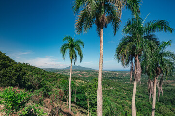 Fototapeta na wymiar Hill view on palms tree. Panorama mountains with tropicals palnts.