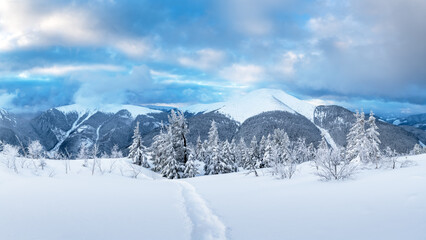 Fantastic winter landscape panorama with snowy trees and snowy peaks. Carpathian mountains, Ukraine. Christmas holiday background. Landscape photography