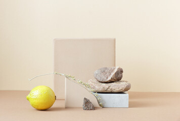 Minimalist monochrome still life composition with a lemon and natural nature materials: stone, marble, earthy clay and plant dry branch in beige color, copy space, abstract modern art design concept